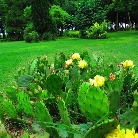 팜스테이 Agriturismo La Possioncella *