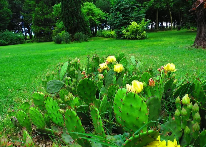 팜스테이 Agriturismo La Possioncella *