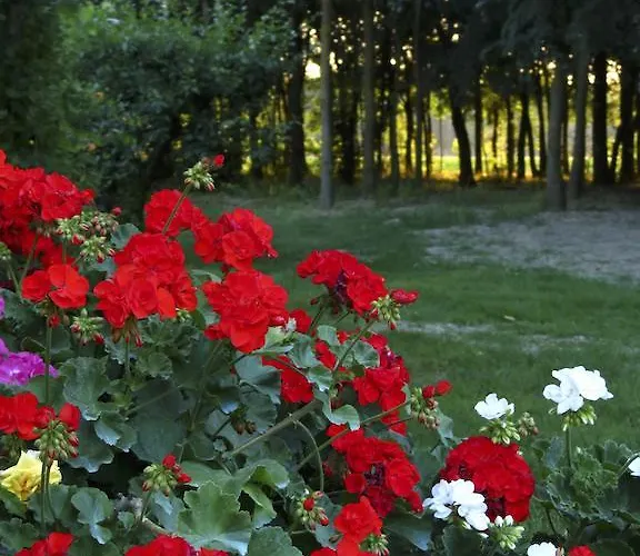 Agriturismo La Possioncella