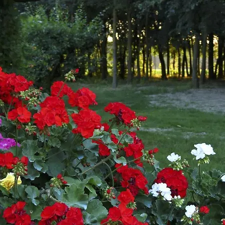 Agriturismo La Possioncella