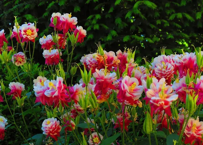 Agriturismo La Possioncella *